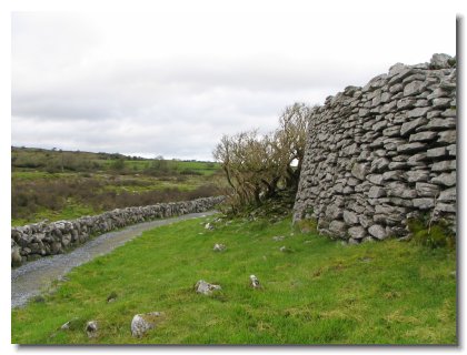 m) Burren Trip Three (2)